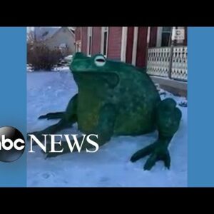 Artist creates giant snow bullfrog sculpture