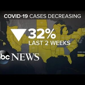New COVID-19 cases fell across the US
