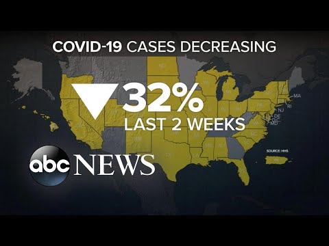New COVID-19 cases fell across the US
