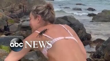 TV host lets crab crawl all over her