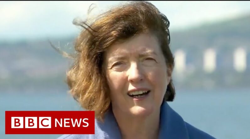 Who is Sue Gray? - BBC News