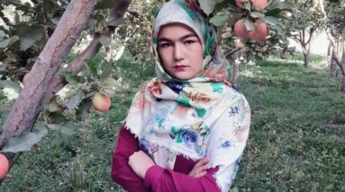 A Year From College, The Taliban Banned Her From School
