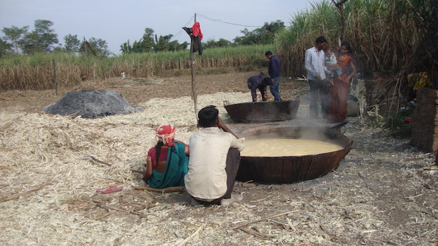 How Farmer Producer Organisations Benefit Small Scale Farmers in India — Global Issues