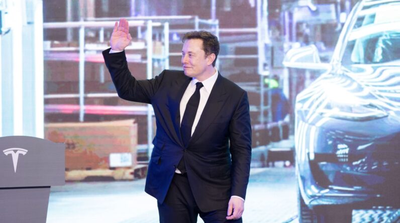 Here's what the Tesla CEO was up to